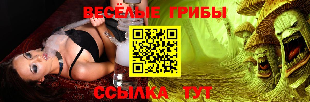 Псилоцибиновые грибы мицелий  Вход с VPN  Псилоцибиновые грибы мицелий  Барабинск 